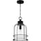Quoizel Bowles Outdoor Hanging 1 Light Earth Black BWE1910EK - alternate 3